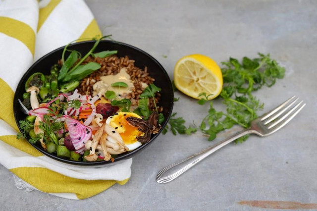 Salad with sprouted wheat