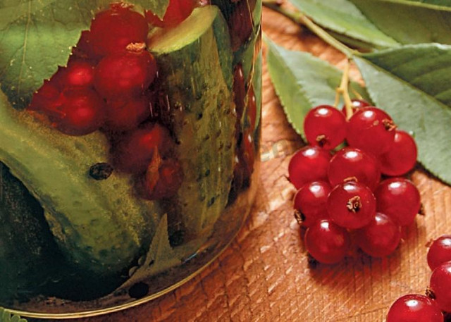 Sterilized cucumbers with dill, horseradish and currant