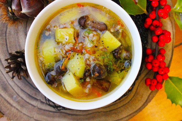 Mushroom soup with buckwheat