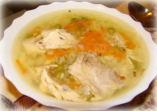 Delicious chicken soup, celery and vermicelli