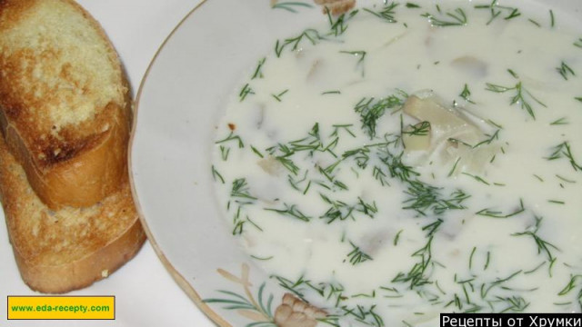 French cheese soup with mushrooms