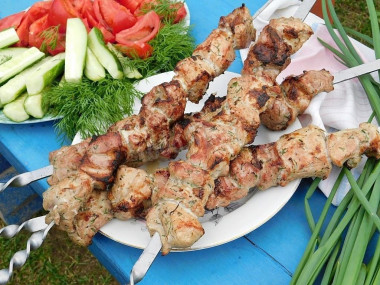 Soft and juicy pork kebab with vinegar and with a bow